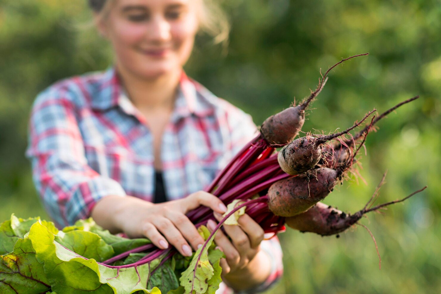Como cultivar batata-doce: Cultive alimentos nutritivos em casa
